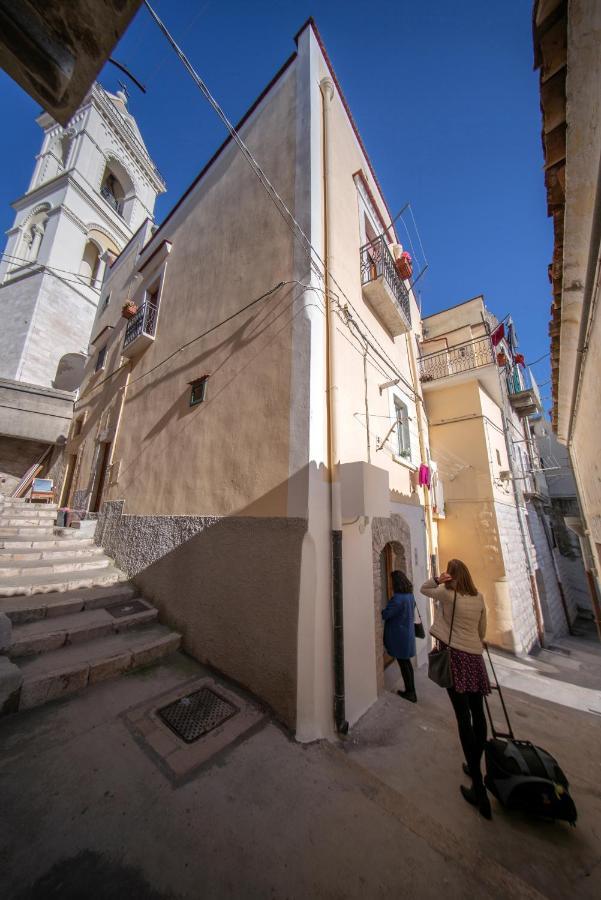 La Ferula Magica - Alloggio Tipico Apartment Minervino Murge ภายนอก รูปภาพ